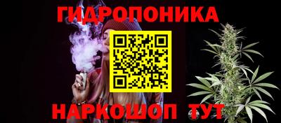 Альфа ПВП Лесосибирск