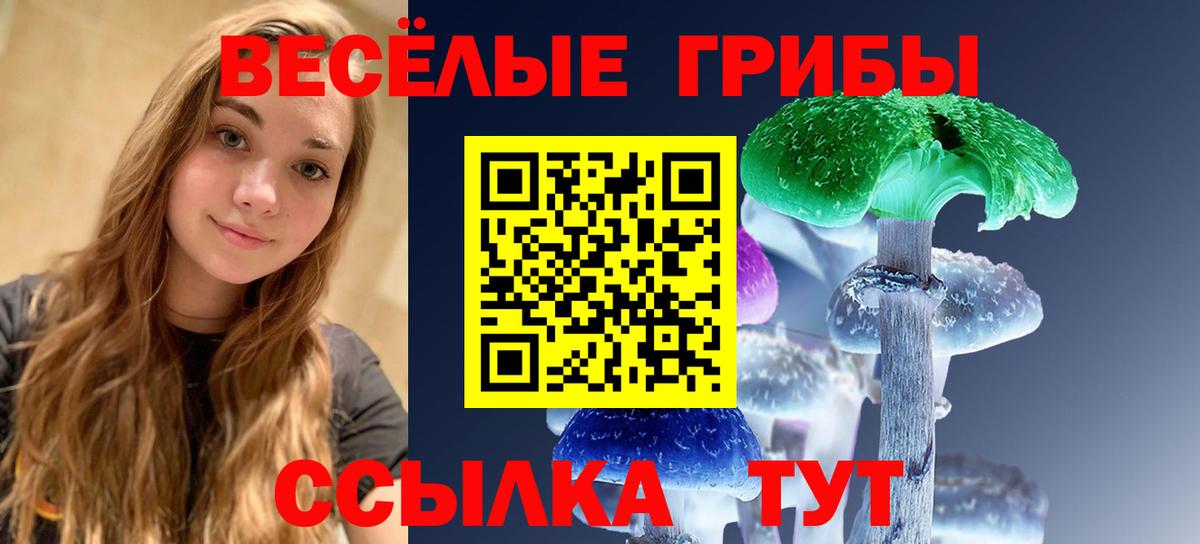 купить   Галлюциногенные грибы Psilocybine cubensis  Старая Купавна  Вход с VPN  Псилоцибиновые грибы GOLDEN TEACHER 